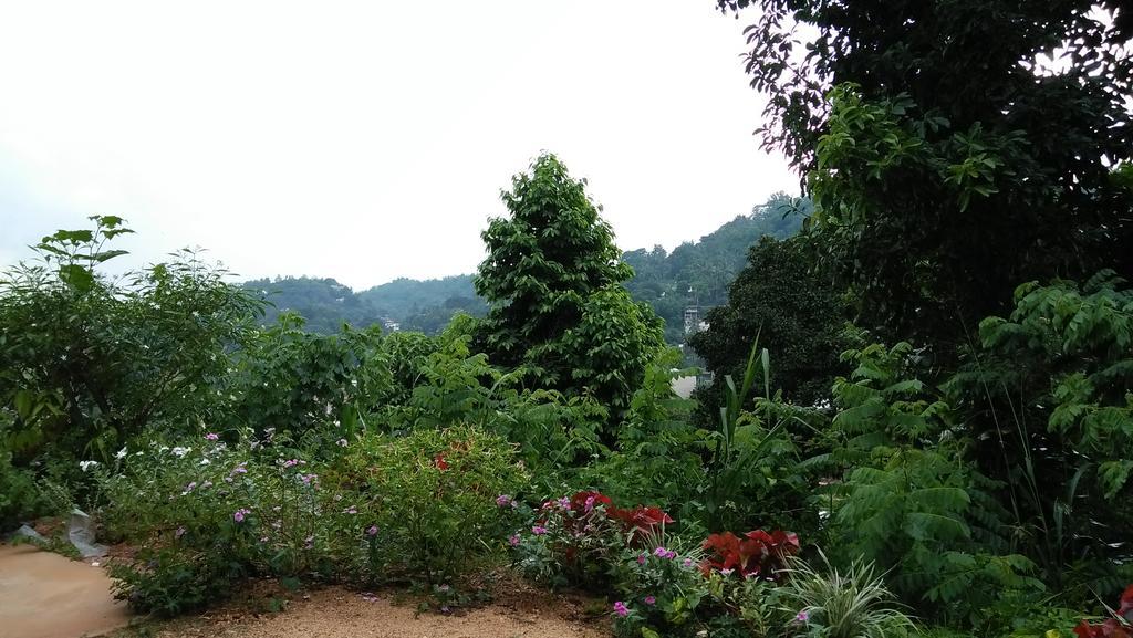 Imaaga Kandy Residence المظهر الخارجي الصورة